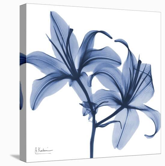 Indigo Infused Lily-Albert Koetsier-Stretched Canvas