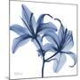 Indigo Infused Lily-Albert Koetsier-Mounted Art Print