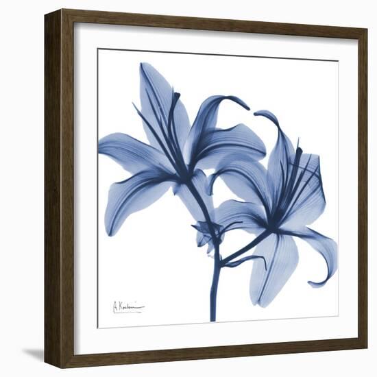 Indigo Infused Lily-Albert Koetsier-Framed Art Print