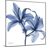 Indigo Infused Lily-Albert Koetsier-Mounted Art Print