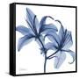 Indigo Infused Lily-Albert Koetsier-Framed Stretched Canvas