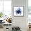 Indigo Infused Orchid 1-Albert Koetsier-Framed Stretched Canvas displayed on a wall