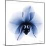 Indigo Infused Orchid 1-Albert Koetsier-Mounted Art Print