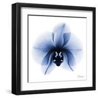 Indigo Infused Orchid 1-Albert Koetsier-Framed Art Print