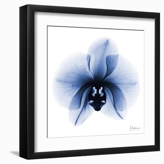 Indigo Infused Orchid 1-Albert Koetsier-Framed Art Print