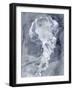 Indigo Jellyfish I-Stellar Design Studio-Framed Art Print