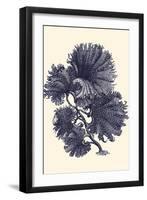 Indigo Kelp I-Vision Studio-Framed Art Print