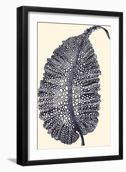 Indigo Kelp IV-Vision Studio-Framed Art Print