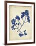 Indigo Leaf Study III-Vision Studio-Framed Art Print