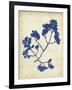 Indigo Leaf Study III-Vision Studio-Framed Art Print