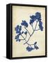 Indigo Leaf Study III-Vision Studio-Framed Stretched Canvas