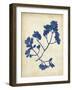 Indigo Leaf Study III-Vision Studio-Framed Art Print