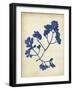 Indigo Leaf Study III-Vision Studio-Framed Art Print