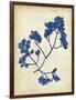 Indigo Leaf Study III-Vision Studio-Framed Art Print