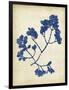 Indigo Leaf Study III-Vision Studio-Framed Art Print