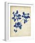 Indigo Leaf Study V-Vision Studio-Framed Art Print