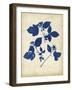 Indigo Leaf Study VI-Vision Studio-Framed Art Print