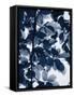 Indigo Leaves-Lexie Greer-Framed Stretched Canvas