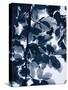 Indigo Leaves-Lexie Greer-Stretched Canvas