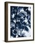 Indigo Leaves-Lexie Greer-Framed Photographic Print