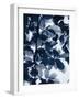 Indigo Leaves-Lexie Greer-Framed Photographic Print