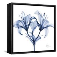 Indigo Lily-Albert Koetsier-Framed Stretched Canvas