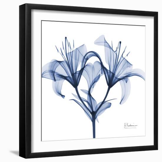 Indigo Lily-Albert Koetsier-Framed Art Print