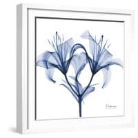 Indigo Lily-Albert Koetsier-Framed Art Print