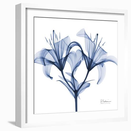 Indigo Lily-Albert Koetsier-Framed Art Print