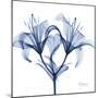 Indigo Lily-Albert Koetsier-Mounted Art Print