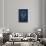 Indigo Lotus-null-Framed Stretched Canvas displayed on a wall