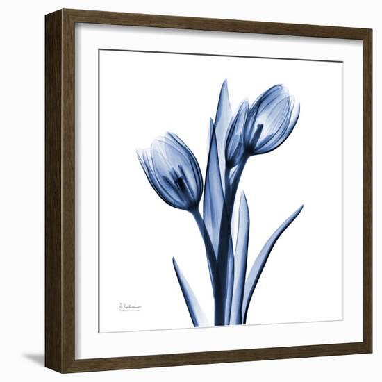 Indigo Loved Tulips-Albert Koetsier-Framed Art Print