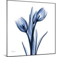 Indigo Loved Tulips-Albert Koetsier-Mounted Art Print