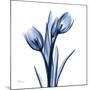 Indigo Loved Tulips-Albert Koetsier-Mounted Art Print