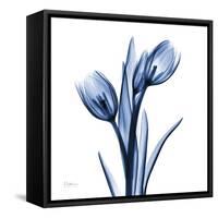 Indigo Loved Tulips-Albert Koetsier-Framed Stretched Canvas