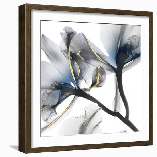 Indigo Luster Cyclamen 2-Albert Koetsier-Framed Photo