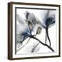 Indigo Luster Cyclamen 2-Albert Koetsier-Framed Photo