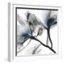 Indigo Luster Cyclamen 2-Albert Koetsier-Framed Photo