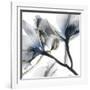 Indigo Luster Cyclamen 2-Albert Koetsier-Framed Photo