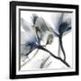 Indigo Luster Cyclamen 2-Albert Koetsier-Framed Photo