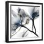 Indigo Luster Cyclamen 2-Albert Koetsier-Framed Photographic Print