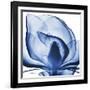 Indigo Magnolia-Albert Koetsier-Framed Art Print