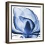 Indigo Magnolia-Albert Koetsier-Framed Art Print