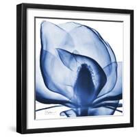 Indigo Magnolia-Albert Koetsier-Framed Art Print