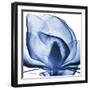 Indigo Magnolia-Albert Koetsier-Framed Art Print