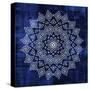 Indigo Mandala 2-Kimberly Allen-Stretched Canvas