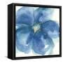 Indigo Mint IV-Chris Paschke-Framed Stretched Canvas