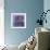 Indigo Moon-Jo Starkey-Framed Giclee Print displayed on a wall