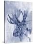 Indigo Moose-Jennifer Goldberger-Stretched Canvas