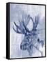 Indigo Moose-Jennifer Goldberger-Framed Stretched Canvas